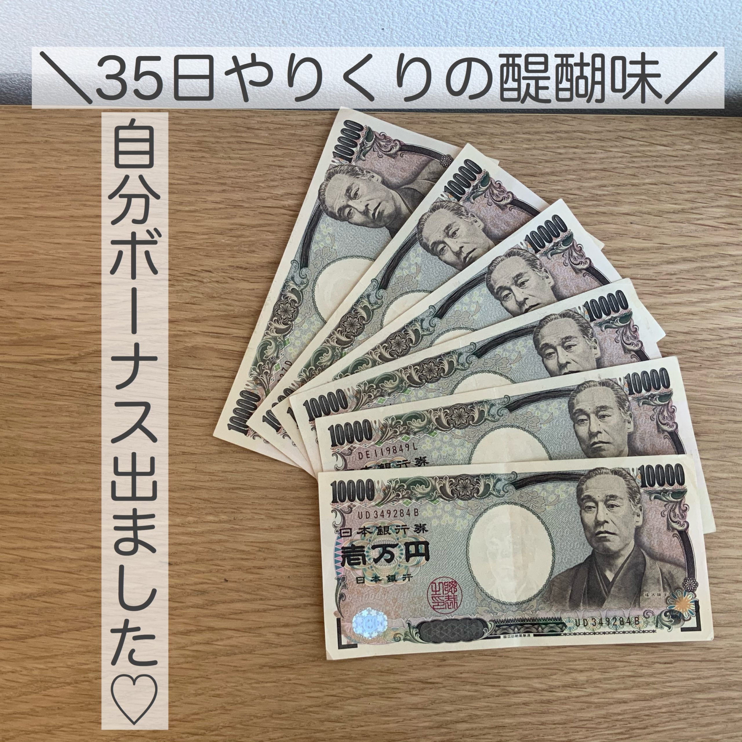 スライド式家計簿 自分ボーナスが出ました 使い道 シンプルにバランスよく生きようーメリハリ家計美人ー